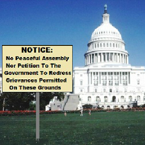 Congress: Your First Amendment Rights Annoy Us