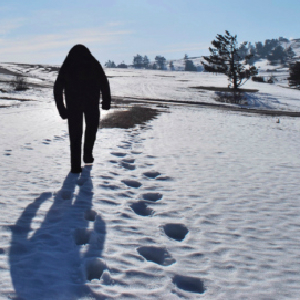 Federal Government Fines Man For Hunting Bigfoot Without A Permit
