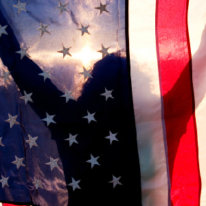 The New American Guardians