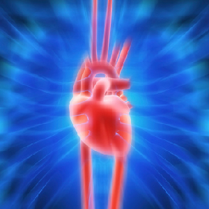 Heart Attack Risk Higher After Losing Job