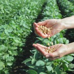 GMO Giants To Send Retired Cops To Farms