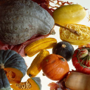 Squash May Have Anti-Diabetic Properties