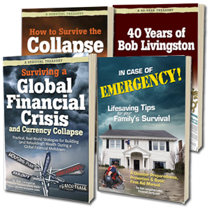 Become A New Year’s Prepper