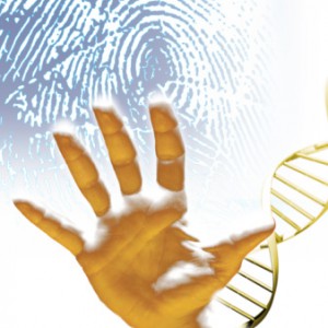 DNA To Be As Common As Fingerprinting