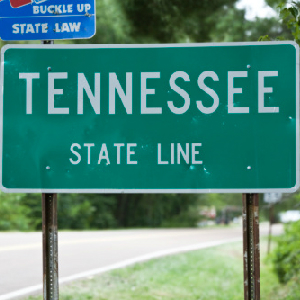 Tennessee Lawmaker: Ending Affirmative Action Is Last Civil Rights Battle