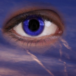 Past, Unpublicized Spy Drone Programs Reveal Surveillance Could Already Be Under Way