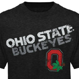 Buckeye Leaf Prompts Traffic Stop