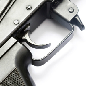 Gun Control Fanatics Continue Biggest Gun Nanny Contest