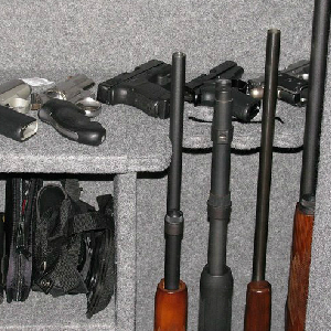 Washington State Gun Bill Contains Home Inspection Provision