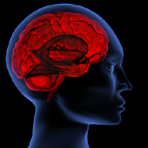 Research: Partisanship Could Re-Wire Your Brain