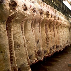 Sequester ‘Cuts’ Furlough USDA Meat Inspectors, Protect Food Stamps