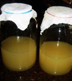 home-made-vinegar-300x336