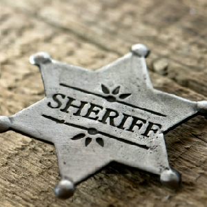 Colorado Sheriffs To Ignore New Gun Laws