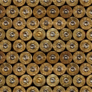 DHS Says Fewer Bullets Stockpiled Than Reported; Buys In Bulk To Save Cash