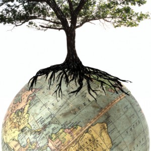 Regulate The Environmental Protection Agency If You’re Really ‘Green’