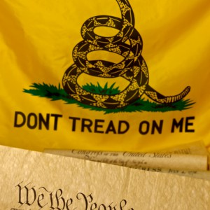Hey Republicans, Libertarian Is Not A Dirty Word