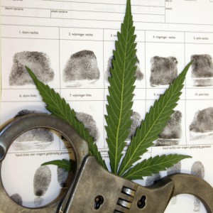 Reefer Madness