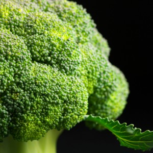 Got Calcium? Should You Worry About It?