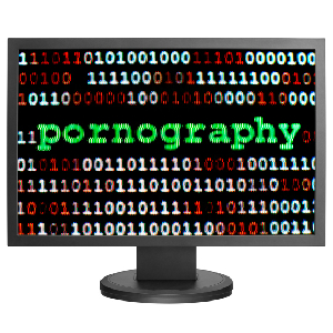 NSA Monitored Porn Habits