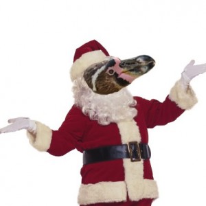 Since Santa Isn’t Black, He Should Be A Flightless Bird