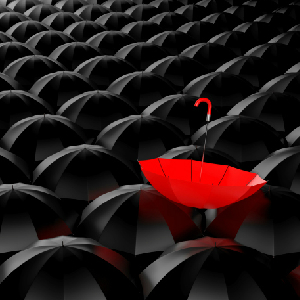 Social Sciences And The Destruction Of The Individual