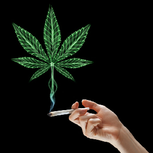 Legalized Marijuana And Why The Government Wants Us To Go To Pot