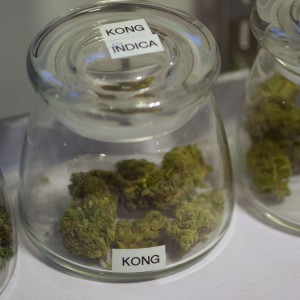 Mises Institute: Colorado’s New Cannabis Economy