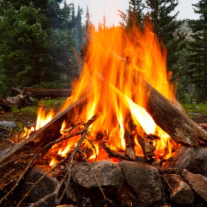 Getting Fired Up About Survival