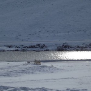 Rural Wyoming Landowner Fights Back Against EPA Push To Fine Him For Building A Stock Pond