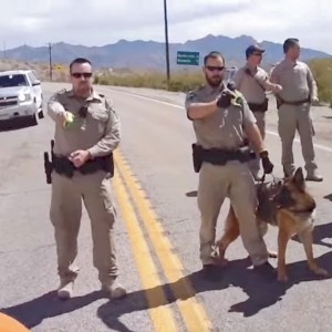 Federal Cattle Rustlers At Work In Nevada
