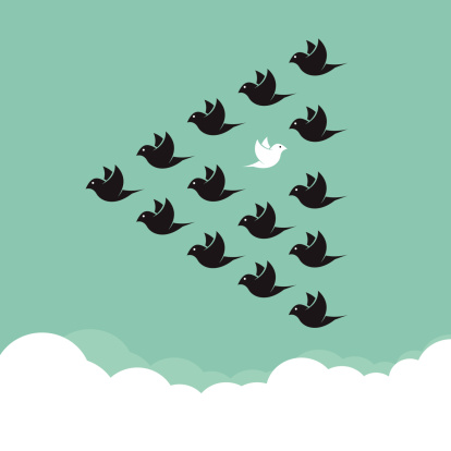 Flock of birds flying in the sky,