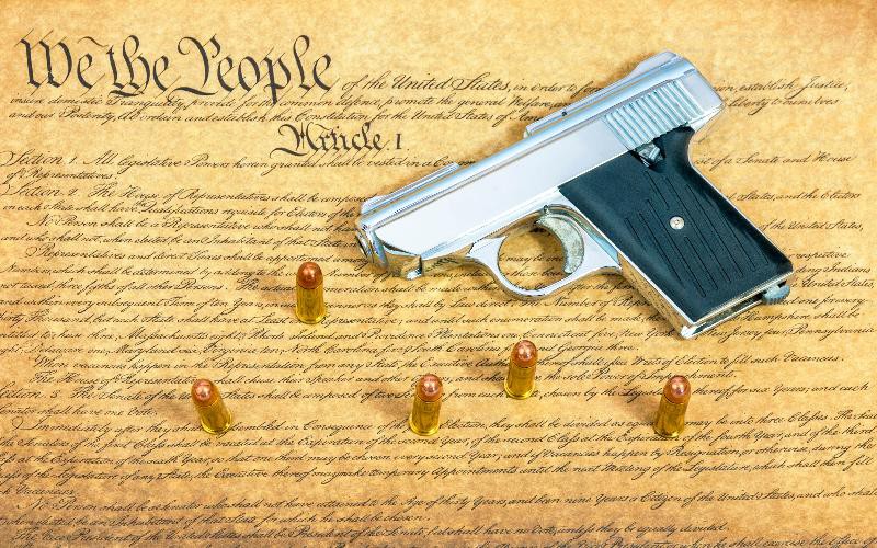 pistol, ammo, constitution