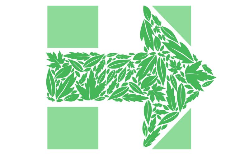Hillary green H