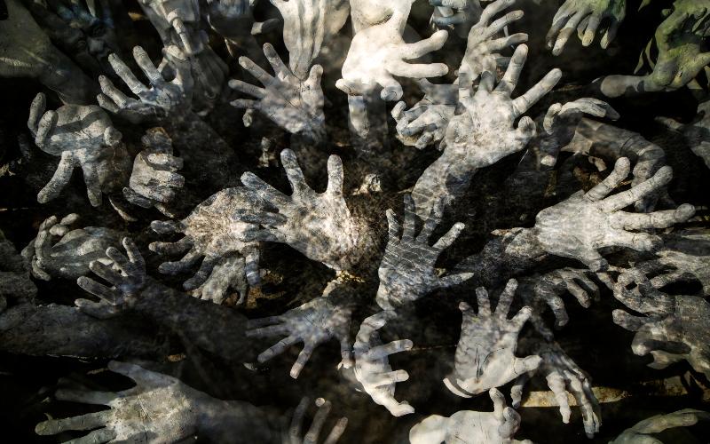 What zombies can teach us about infectious diseases YOU DECIDE