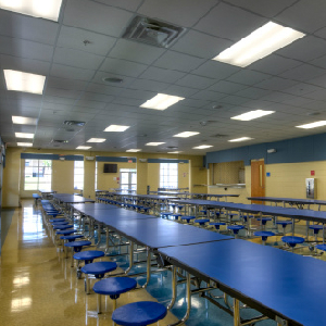 PETA Wants To Advertise In School Lunchrooms - Personal Liberty®