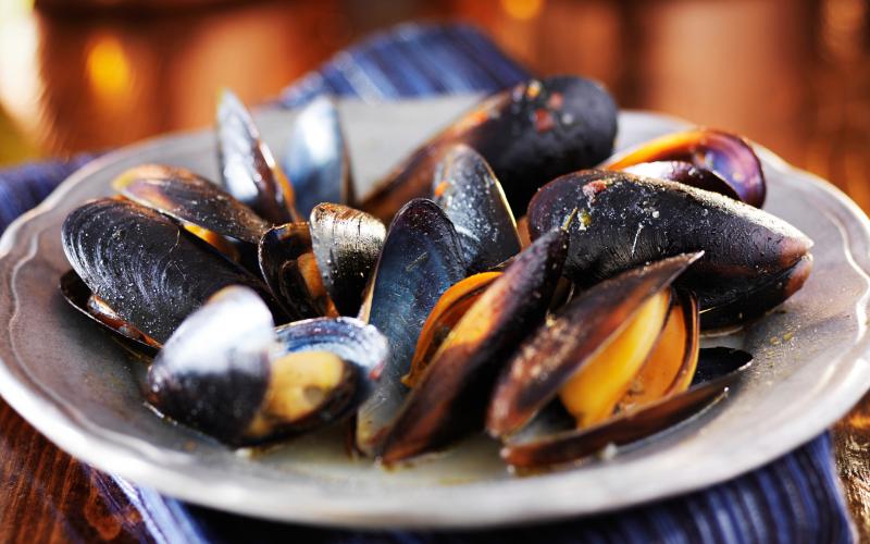 Mussels are my new superfood; here's why
