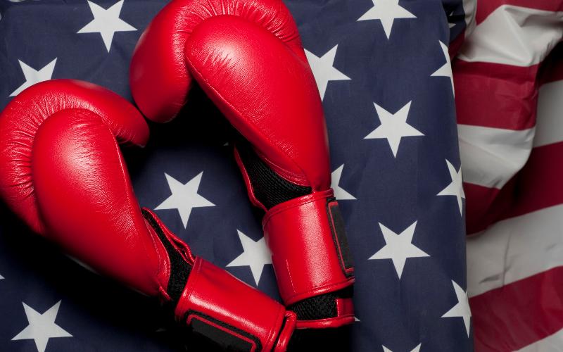 red boxing gloves on flag